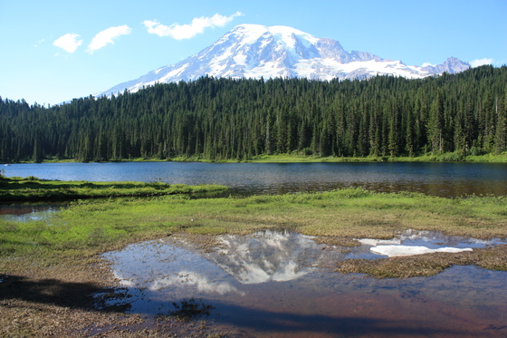MT. RaIner