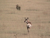 Sunset Crater Volcano National Momument 
