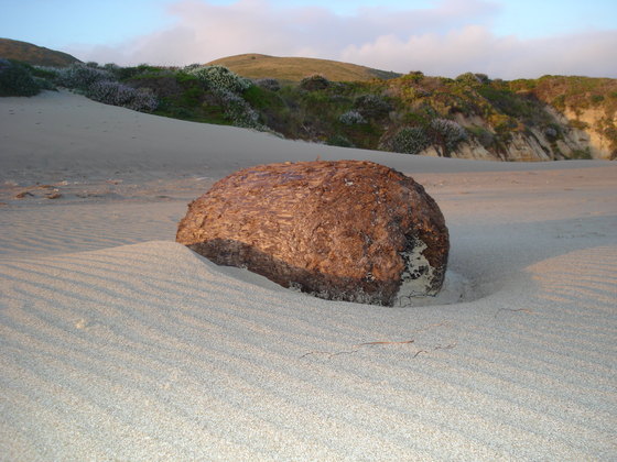 Point Reyes National Seashore