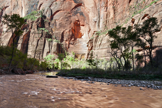 Zion National Park
