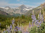 Glacier National Park