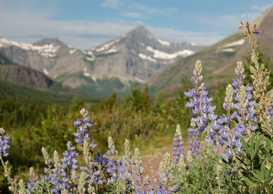Glacier National Park