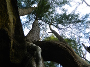 Cuyahoga Valley National Park-Brecksville Reservation