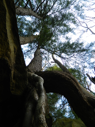 Cuyahoga Valley National Park-Brecksville Reservation
