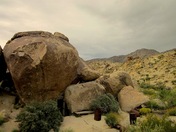 Joshua Tree National Park