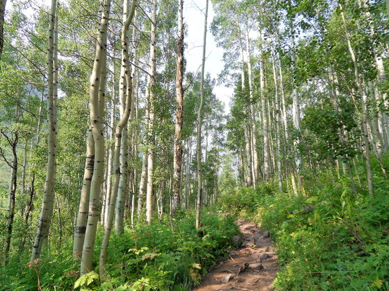 White River National Forest