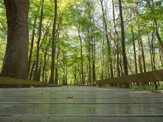 Congare National park