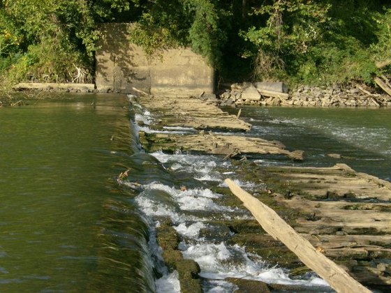 Congaree River