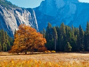 Yosemite National Park