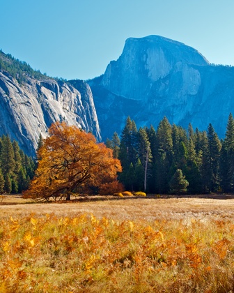 Yosemite National Park