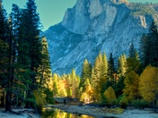 Yosemite National Park