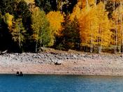 dixie national forest "yankee meadows res"