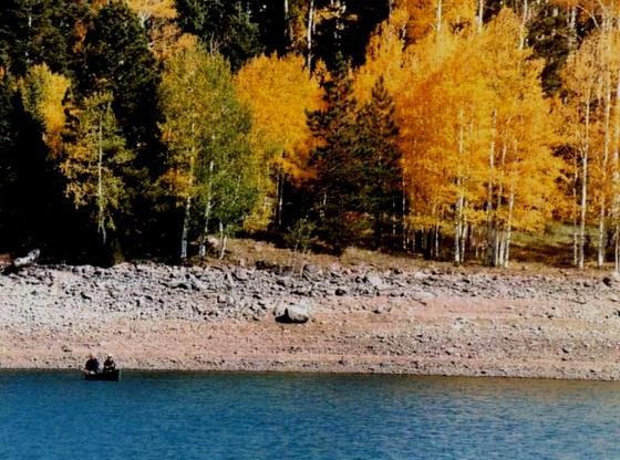 dixie national forest "yankee meadows res"