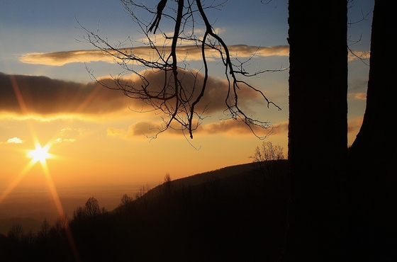 Shenandoah National Park