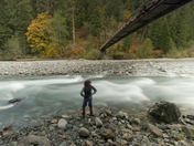 Mount Baker National Forest