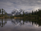 Mount Baker National Forest