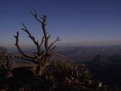 Big Bend National Park