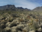 Big Bend National Park