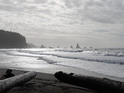 Olympic National Park