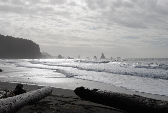 Olympic National Park