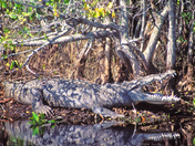 Everglades National Park