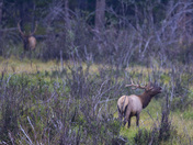Rocky Mountain National Park