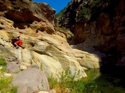 Los Padres National Forest
