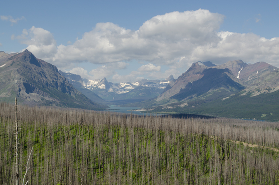 Glacier National Park