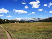 Yosemite National Park