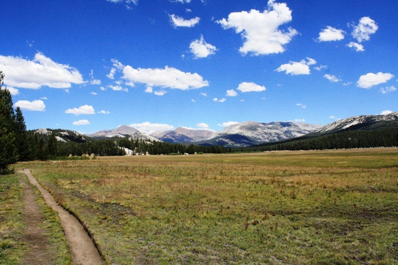 Yosemite National Park