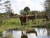 Everglades National Park
