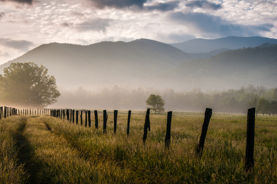 Great Smoky Mountain National Park