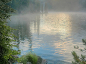 Custer National Forest