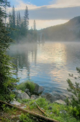 Custer National Forest