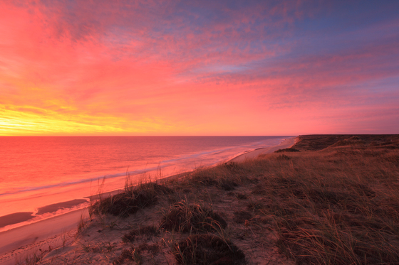 Cape Cod National Seashore