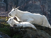 Glacier National Park