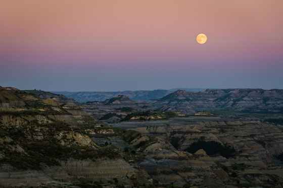 Theodore Roosevelt National Park