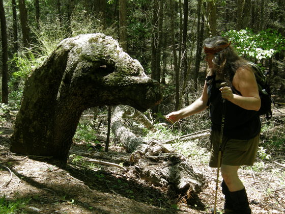Great Smoky Mountains National Park
