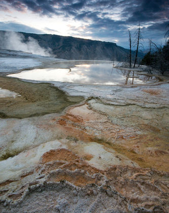 Yellowstone NP