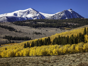 Humboldt-Toiyabe National Forest