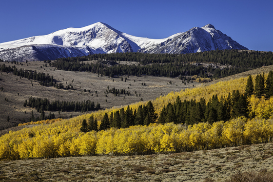 Humboldt-Toiyabe National Forest