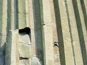 Devils Tower National Monument