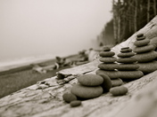 Olympic National Park 