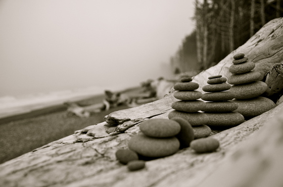 Olympic National Park 