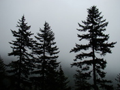 Great Smoky Mountains National Park