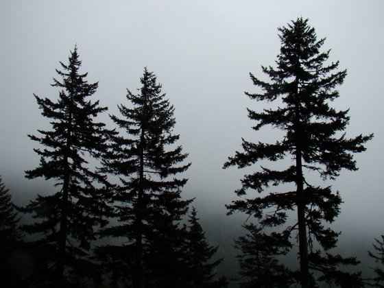 Great Smoky Mountains National Park