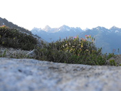 Mt. Baker Snoqualmie National Forest