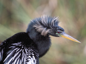 Everglades National Park