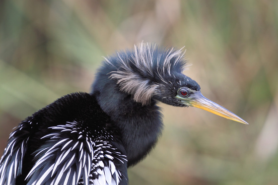 Everglades National Park