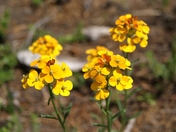 Rocky Mountain National Park